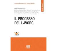 Il processo del lavoro