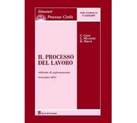 Il processo del lavoro. Addenda di aggiornamento al settembre 2011
