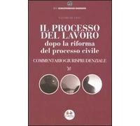 Il processo del lavoro dopo la riforma del processo civile. Commentario giurisprudenziale