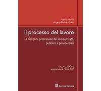 Il processo del lavoro. La disciplina processuale del lavoro privato, pubblico e previdenziale