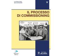 Il Processo di Commissioning - [Editoriale Delfino]