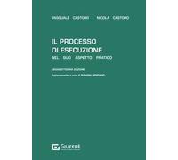 Il processo di esecuzione nel suo aspetto pratico