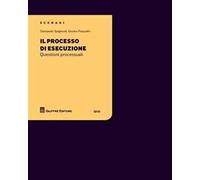 Il processo di esecuzione. Questioni processuali