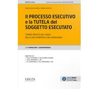 Il processo esecutivo e la tutela del soggetto esecutato. I rimedi previsti dal