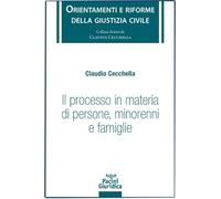 Il processo in materia di persone minorenni e famiglie