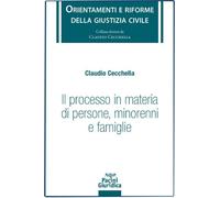 Il processo in materia di persone minorenni e famiglie [Paperback] [Jul 29, 2024