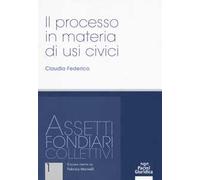 Il processo in materia di usi civili