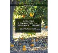 Il processo innanzi ai tribunali delle acque pubbliche per il risarcimento dei danni causati dagli allagamenti e dagli incendi
