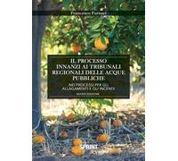 Il processo innanzi ai tribunali delle acque pubbliche per il risarcimento dei danni causati dagli allagamenti e dagli incendi