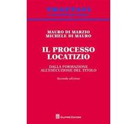 Il processo locatizio. Dalla formazione all'esecuzione del titolo