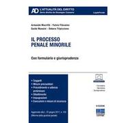 Il processo penale minorile