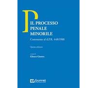 Il processo penale minorile. Commento al DPR 448/1988