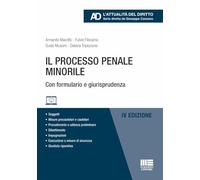 Libri Armando Macrillo / Fulvio Filocamo / Guido Mussini - Il Processo Penale Mi