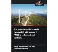 Il progresso delle energie rinnovabili attraverso il PMSG e le tecniche di controllo