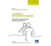 Il pronto intervento minori. Tra modelli e orizzonti di tutela della persona minorenne