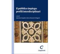 Il pubblico impiego: profili interdisciplinari