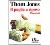 Il pugile a riposo