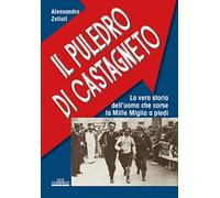 Il Puledro di Castagneto