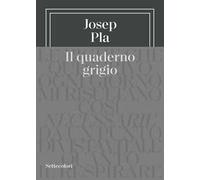 Il quaderno grigio