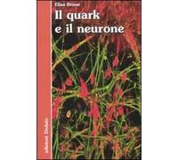 Il quark e il neurone
