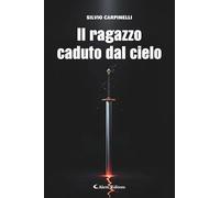 Il ragazzo caduto dal cielo