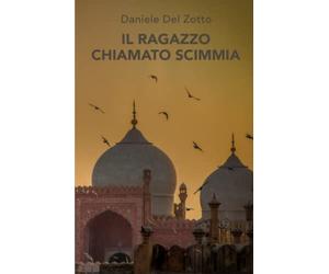 Il ragazzo chiamato scimmia