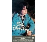 Il ragazzo di pietra [VHS]