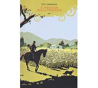 Il ragazzo nella prateria