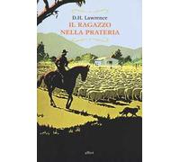 IL RAGAZZO NELLA PRATERIA