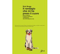 Il randagio che mi ha preso il cuore. Storia di Speck, il pastore australiano combinaguai che mi ha salvato la vita