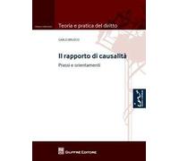 Il rapporto di causalità. Prassi e orientamenti
