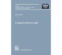 Il rapporto di lavoro agile