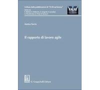 Il rapporto di lavoro agile