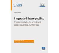 Il rapporto di lavoro pubblico. Analisi degli istituti e dei procedimenti dopo il nuovo CCNL Funzioni locali