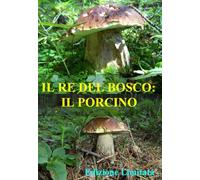 Il Re Del Bosco: Il Porcino