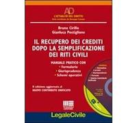 9788838769696 Recupero dei crediti dopo la semplificazione dei r...n cd-rom (il)
