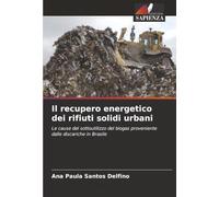 Il recupero energetico dei rifiuti solidi urbani: Le cause del sottoutilizzo del biogas proveniente dalle discariche in Brasile