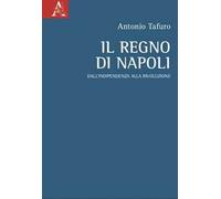 Il Regno di Napoli. Dall'indipendenza alla rivoluzione