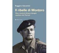 Il ribelle di Montoro. Vita e morte di Alvaro Litargini capitano dei Patrioti
