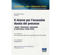 Il ricorso per l'eccessiva durata del processo