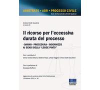 Il ricorso per l'eccessiva durata del processo