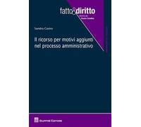 Il ricorso per motivi aggiunti nel processo amministrativo