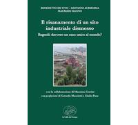 Il risanamento di un sito industriale dismesso. Bagnoli: davvero unico caso al mondo?
