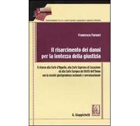 Il risarcimento dei danni per la lentezza della giustizia. Il ricorso alla Corte d'Appello, alla Corte Suprema di Cassazione ed alla Corte Europea dei diritti....