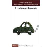 Il rischio ambientale