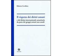 Il rispetto dei diritti umani e del diritto internazionale umanitario da parte dei gruppi armati non statali