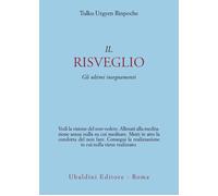Il risveglio. Gli ultimi insegnamenti - Urgyen Tulku (Rinpoche)