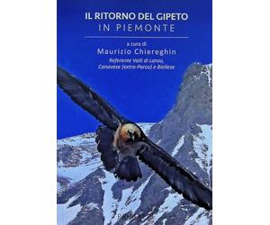 Il ritorno del gipeto in Piemonte