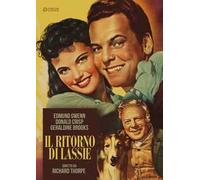 Il ritorno di Lassie (DVD)