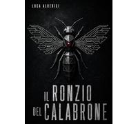 Il Ronzio del Calabrone